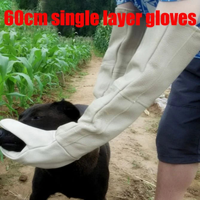 ๐งค Pet Grooming Gloves โ Bite & Scratch Resistant Leather Protection Gloves for Dogs & Cats ๐พ