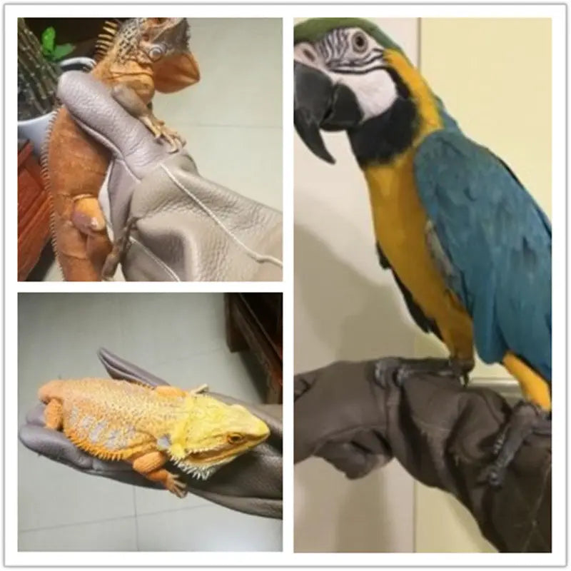 ๐งค Pet Grooming Gloves โ Bite & Scratch Resistant Leather Protection Gloves for Dogs & Cats ๐พ