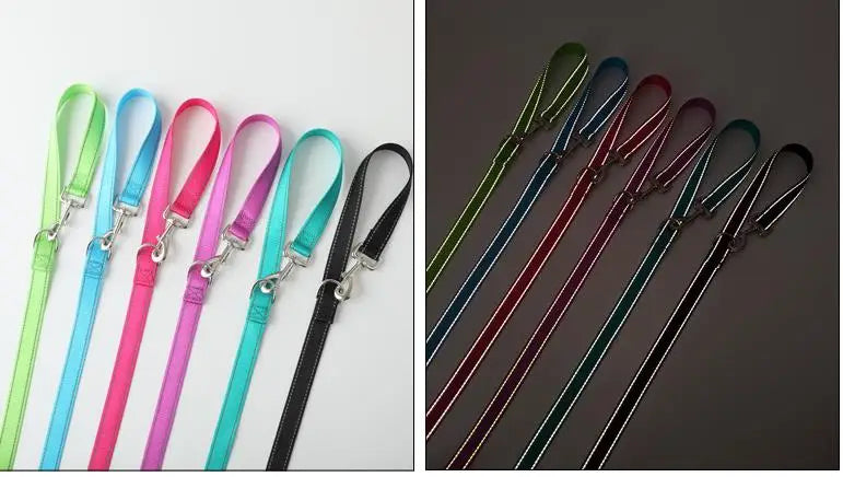 ๐โโ๏ธ Double Dog Leash ๐ถ Reflective Hands-Free Running Lead