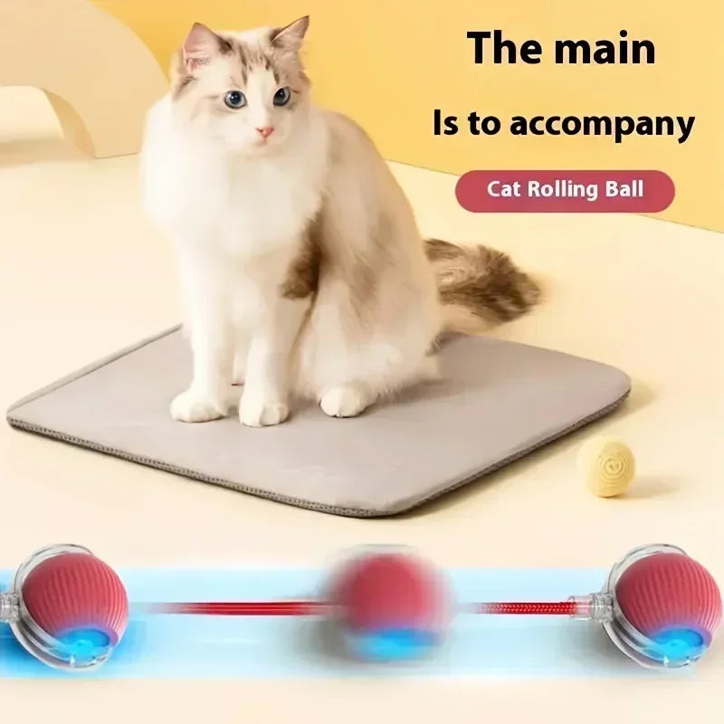 ๐งถ Rechargeable Cat Toy Ball โจ Interactive Automatic Rolling Ball with Simulated Tail