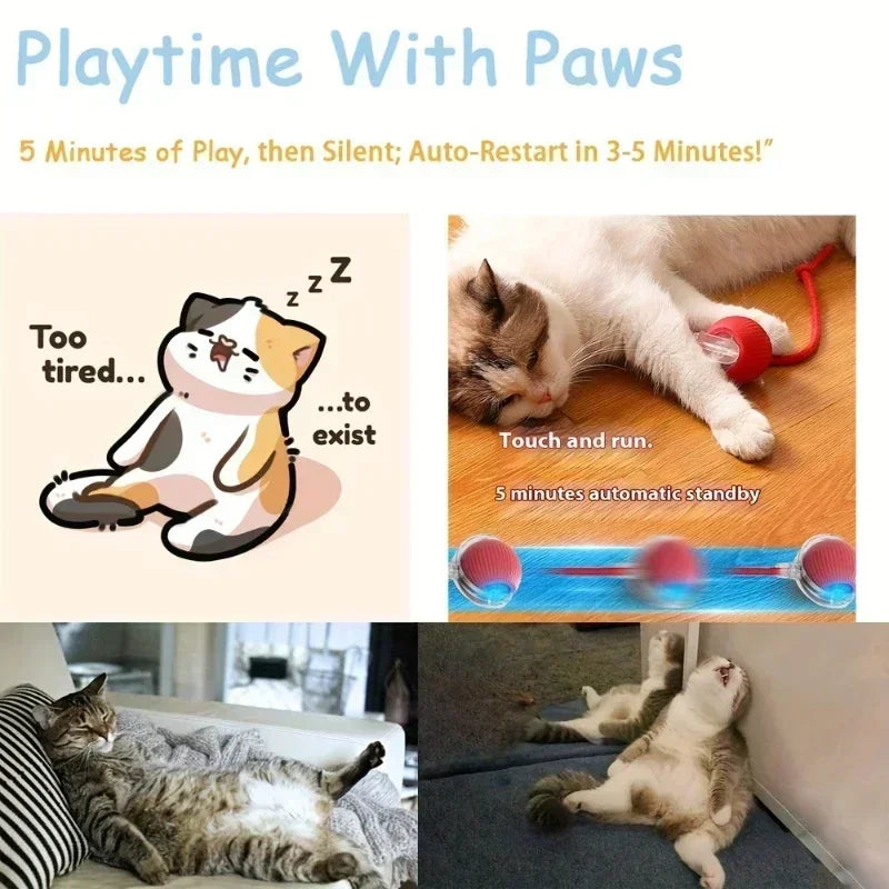 ๐งถ Rechargeable Cat Toy Ball โจ Interactive Automatic Rolling Ball with Simulated Tail