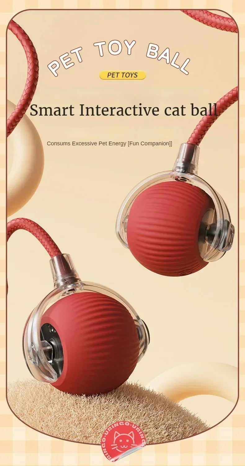 ๐งถ Rechargeable Cat Toy Ball โจ Interactive Automatic Rolling Ball with Simulated Tail