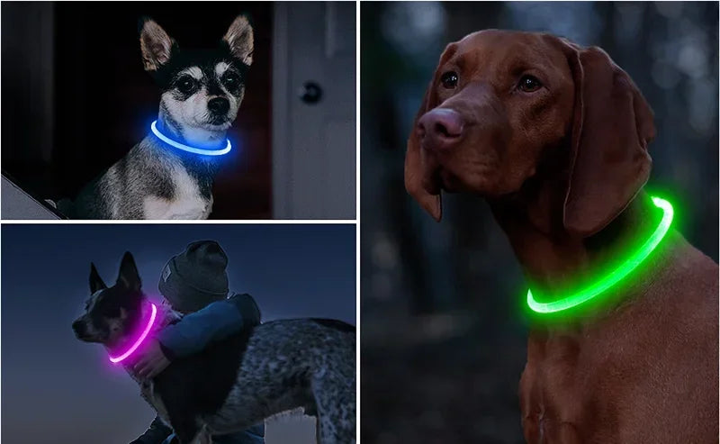 ๐ก LED Light-Up Dog Collar ๐ USB Rechargeable & Cut-to-Fit | Night Safety