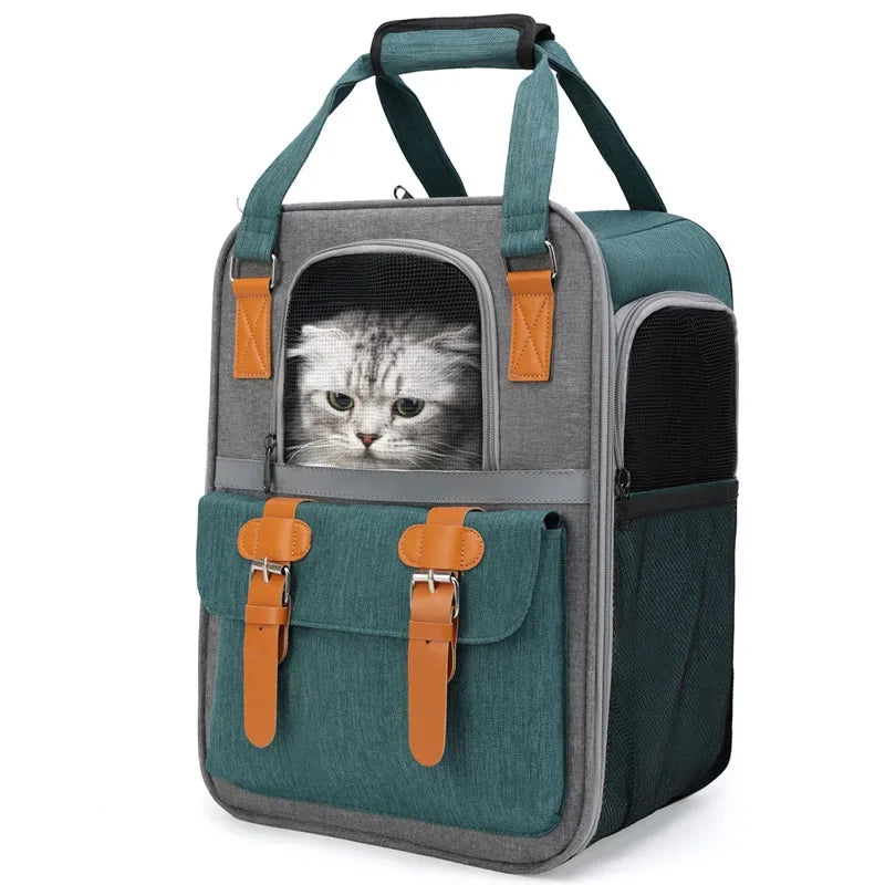 ๐ Foldable Pet Carrier Backpack ๐ โ Travel Bag for Cats & Small Dogs (Up to 10kg)