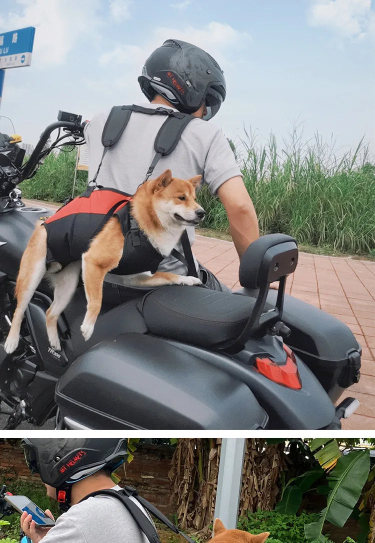 π Pet Travel Backpack π Outdoor Dog & Cat Carrier πΎ