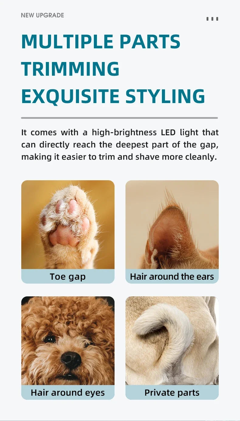 ๐พ LED Pet Nail Grinder ๐ 3-Speed Rechargeable Nail Trimmer for Dogs & Cats