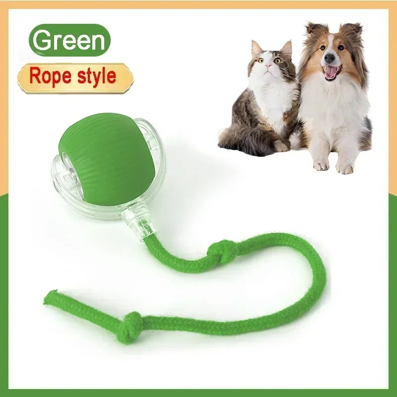 ๐งถ Rechargeable Cat Toy Ball โจ Interactive Automatic Rolling Ball with Simulated Tail