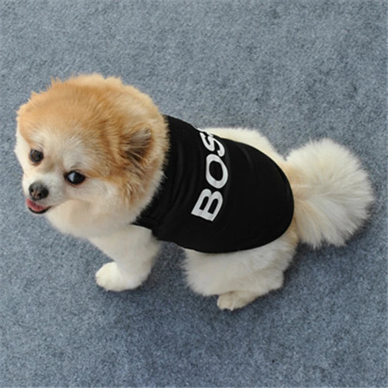 ๐ก๏ธ Security Dog Shirt ๐ Summer Pet Clothes for Small Dogs & Cats