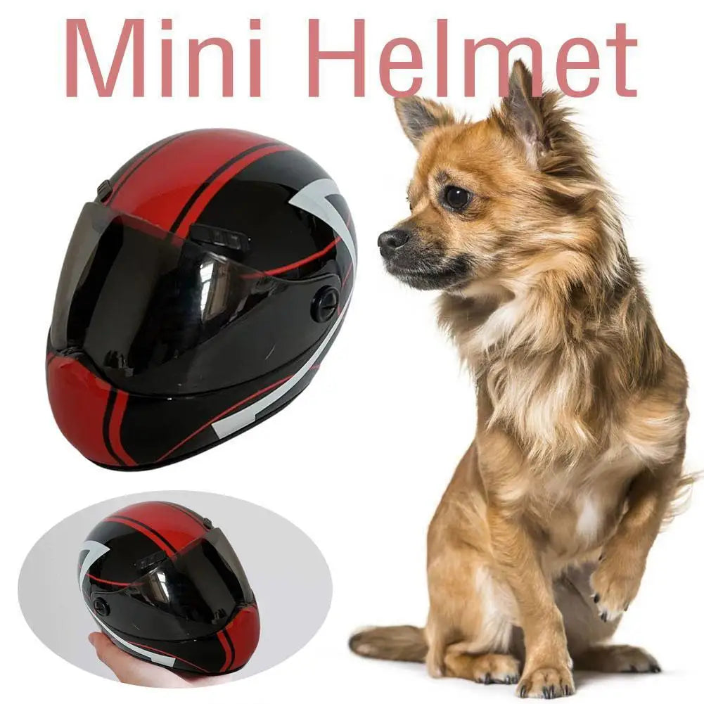 ๐ก๏ธ DIY Pet Helmet โ Mini Motorcycle Hat for Cats & Small Dogs ๐พ