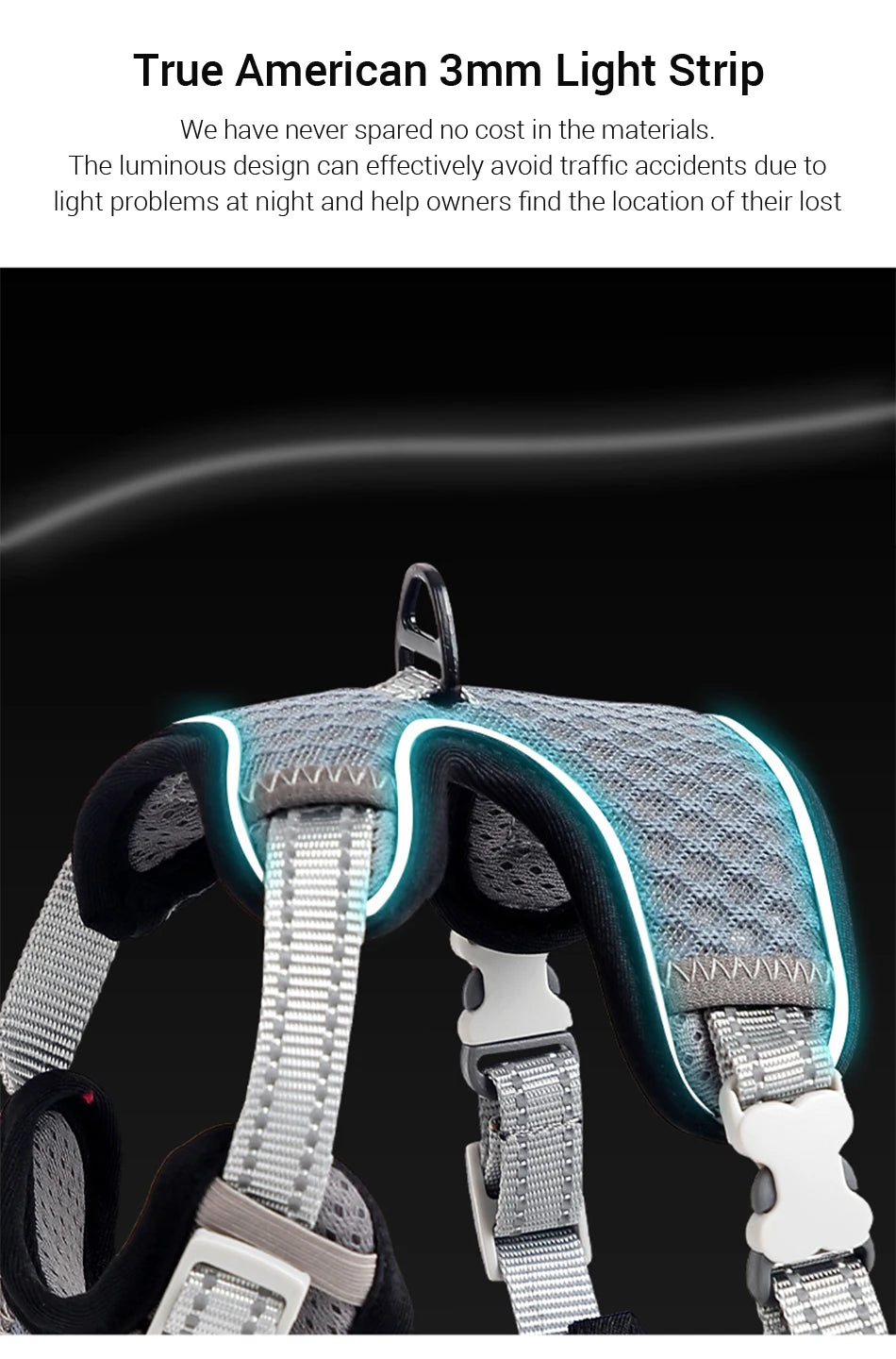 ๐ฑ Cat Harness & Leash Set ๐พ Adjustable & Escape-Proof Design