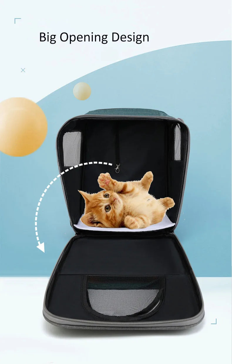 ๐ Foldable Pet Carrier Backpack ๐ โ Travel Bag for Cats & Small Dogs (Up to 10kg)