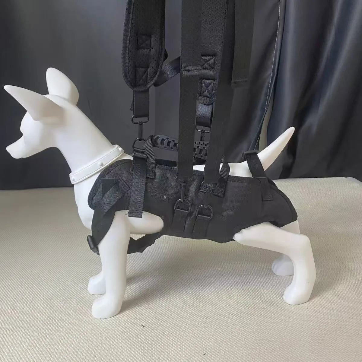 π Pet Travel Backpack π Outdoor Dog & Cat Carrier πΎ