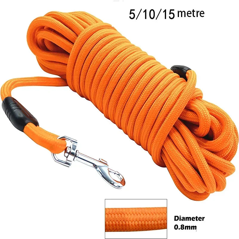 Heavy-duty orange nylon dog leash with reflective stitching in 5M, 10M, and 15M