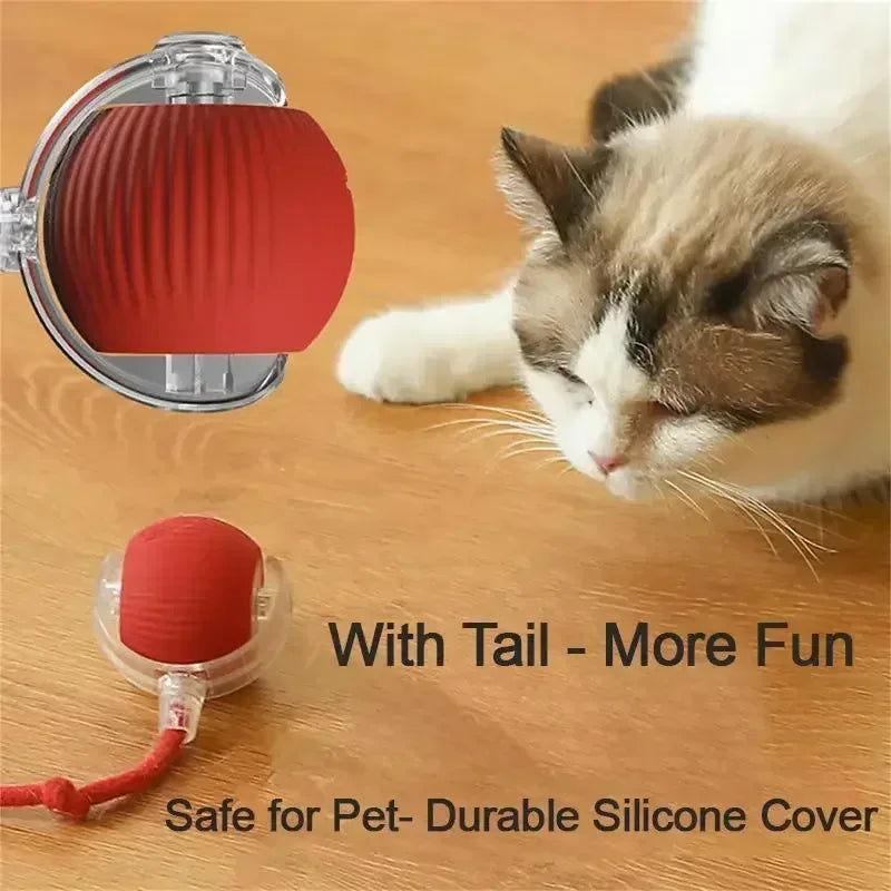 ๐งถ Rechargeable Cat Toy Ball โจ Interactive Automatic Rolling Ball with Simulated Tail