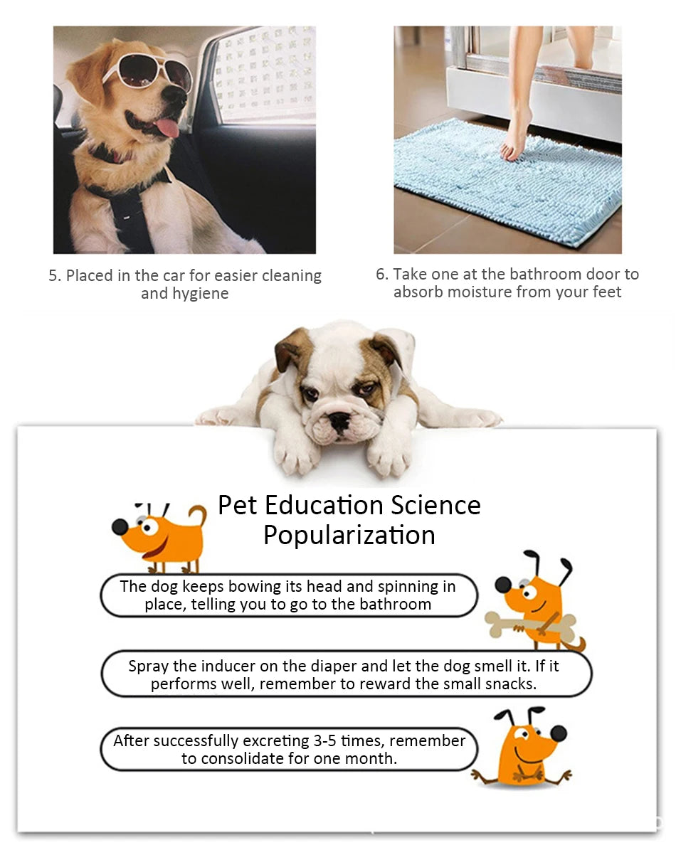 ๐พ Disposable Puppy Pads | Super Absorbent Dog Diapers โ 100/50/40/20PCS ๐พ