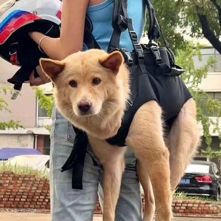π Pet Travel Backpack π Outdoor Dog & Cat Carrier πΎ