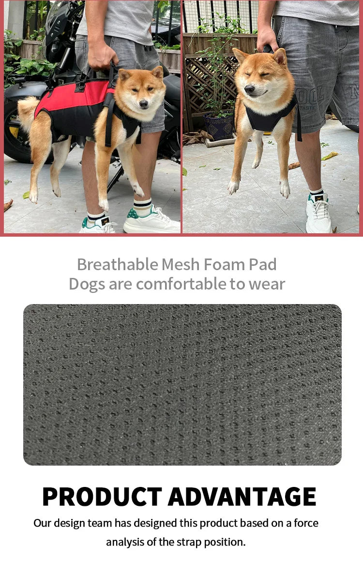 π Pet Travel Backpack π Outdoor Dog & Cat Carrier πΎ