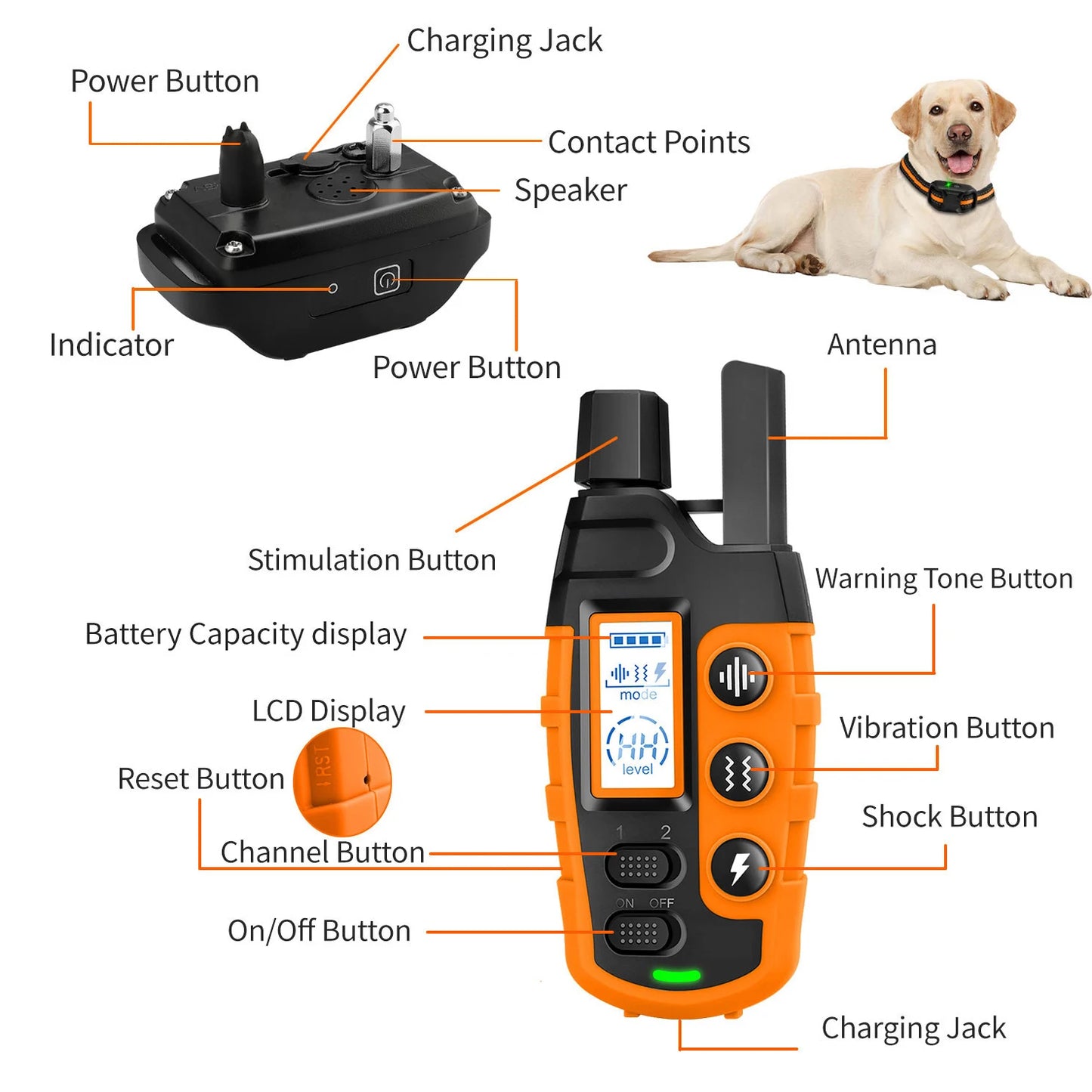 Remote Dog Training Collar with Shock & Vibration