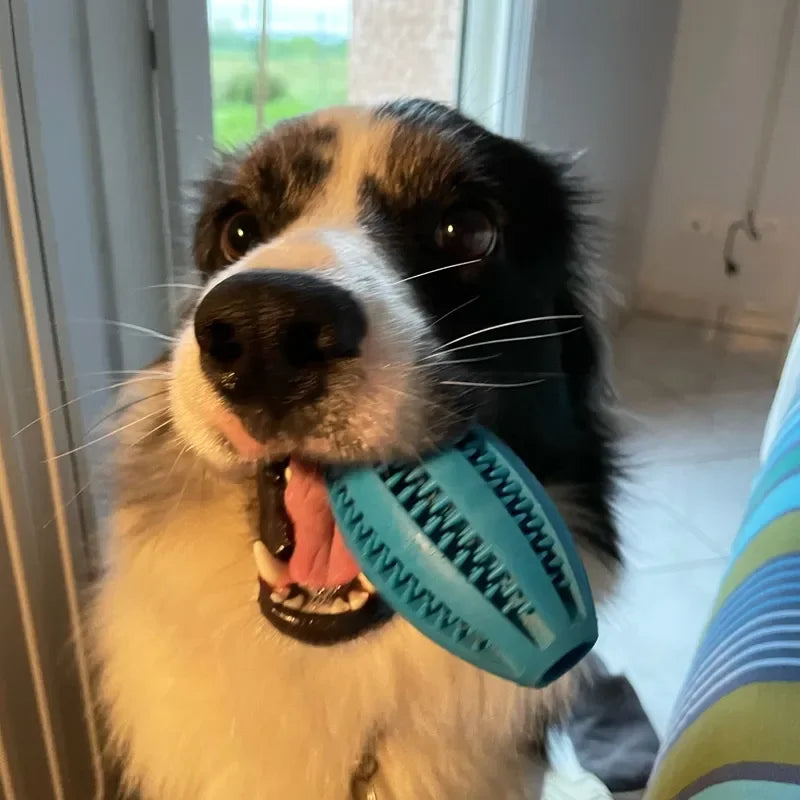 Dog Chew Ball Toy Tough Rubber Dental Ball