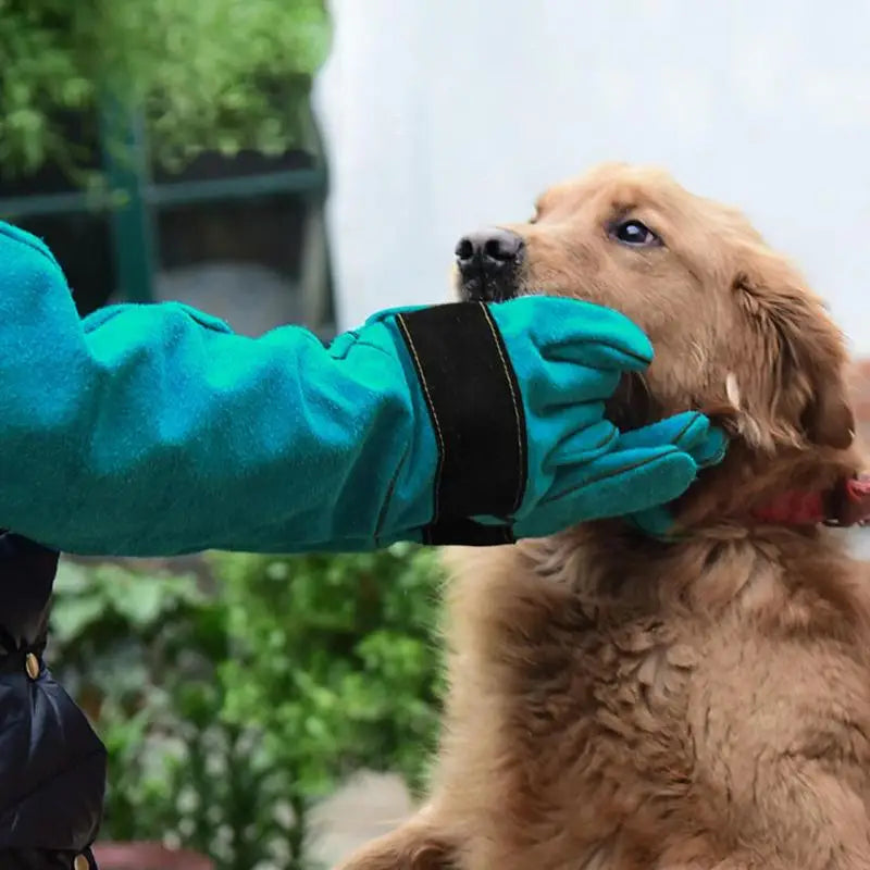 ๐งค Anti-Bite Pet Handling Gloves โ Thickened Cowhide Protective Gloves for Dogs, Cats & Reptiles ๐