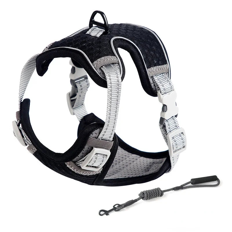 ๐ฑ Cat Harness & Leash Set ๐พ Adjustable & Escape-Proof Design