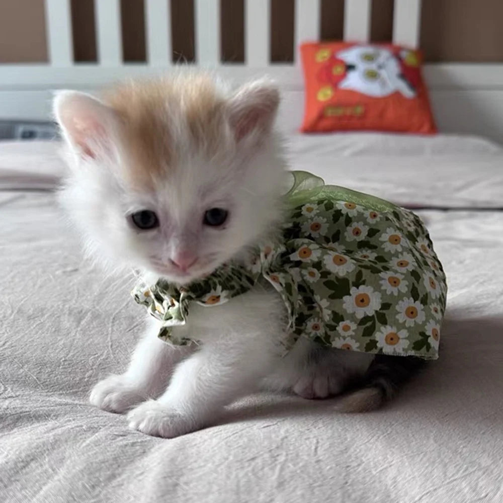 ๐ธ Cat Summer Dress ๐พ ๐ Cotton Floral Suspender Outfit for Sphynx & Small Pets