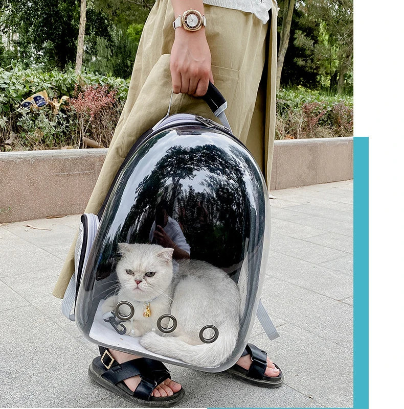 ๐ Capsule Pet Backpack ๐ถ๐ฑ | Breathable & Transparent Travel Carrier