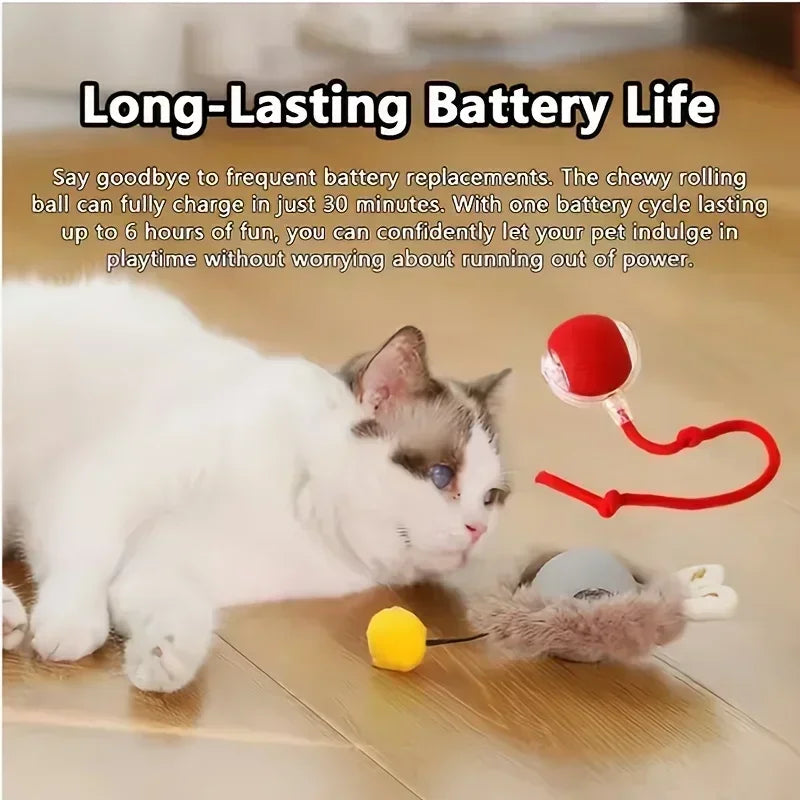 ๐งถ Rechargeable Cat Toy Ball โจ Interactive Automatic Rolling Ball with Simulated Tail