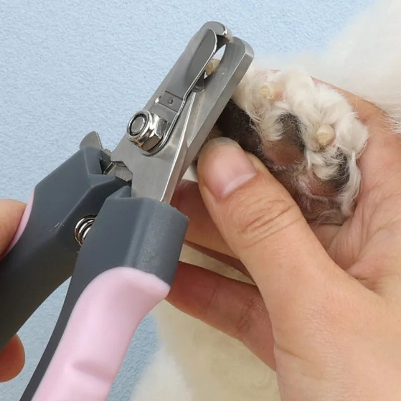 โ๏ธ Pet Nail Clippers ๐พ Stainless Grooming Tool for Dogs & Cats