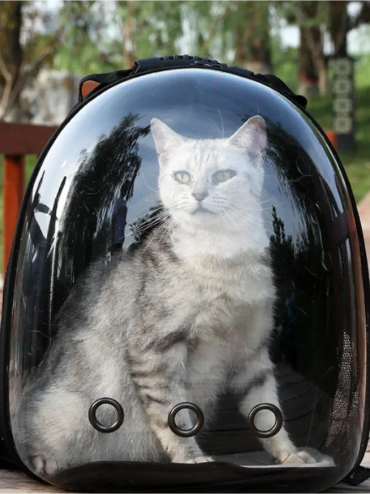 ๐ Capsule Pet Backpack ๐ถ๐ฑ | Breathable & Transparent Travel Carrier