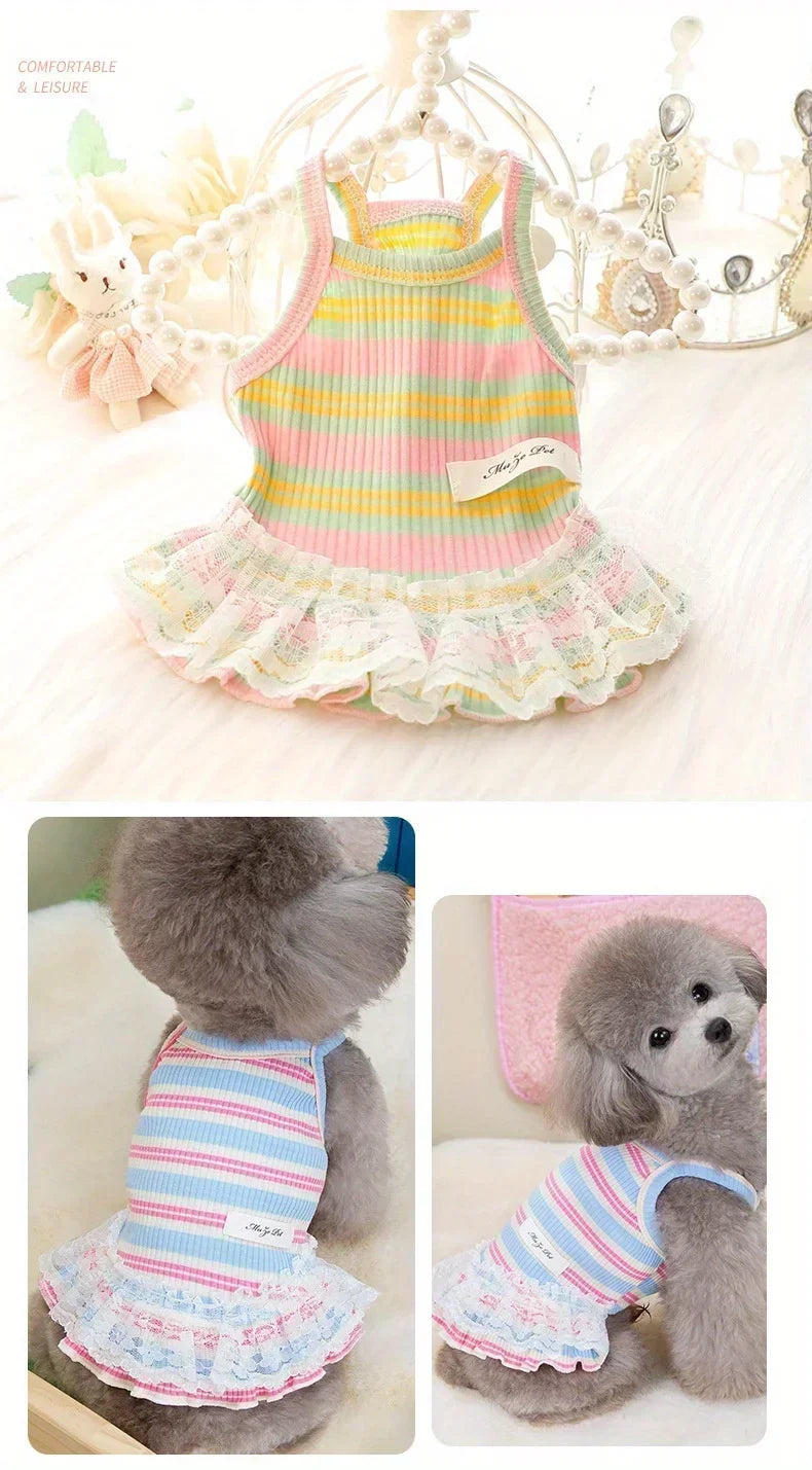 ๐ Small Dog Princess Dress โจ Lace Summer Outfit for Puppies & Cats