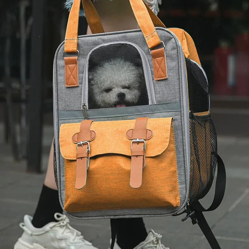 ๐ Foldable Pet Carrier Backpack ๐ โ Travel Bag for Cats & Small Dogs (Up to 10kg)