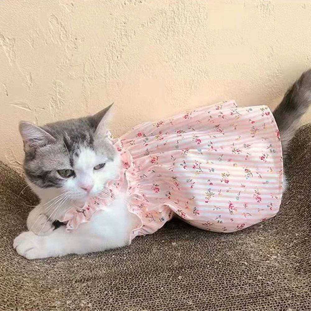 ๐ธ Cat Summer Dress ๐พ ๐ Cotton Floral Suspender Outfit for Sphynx & Small Pets
