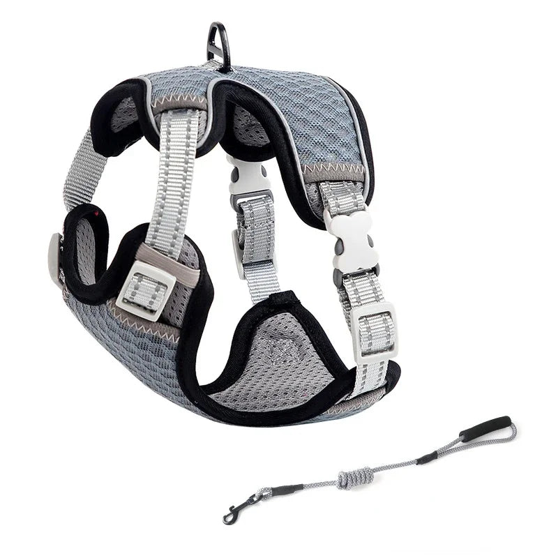 ๐ฑ Cat Harness & Leash Set ๐พ Adjustable & Escape-Proof Design