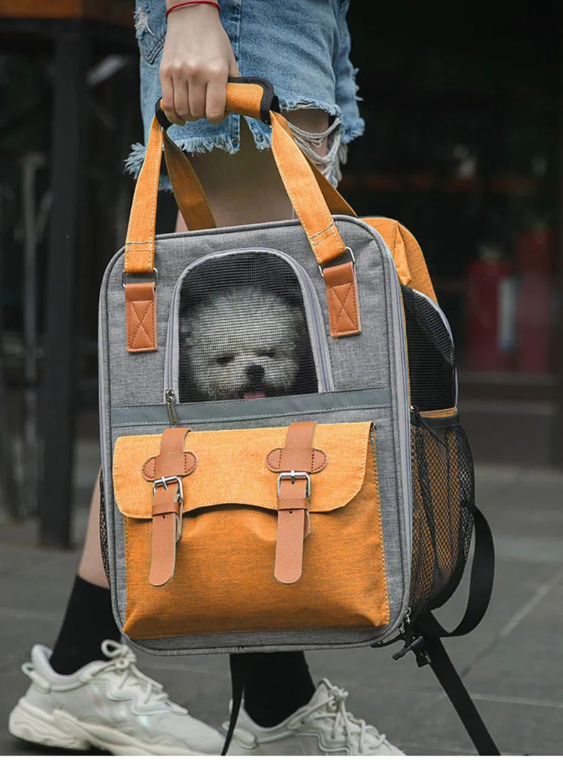 ๐ Foldable Pet Carrier Backpack ๐ โ Travel Bag for Cats & Small Dogs (Up to 10kg)