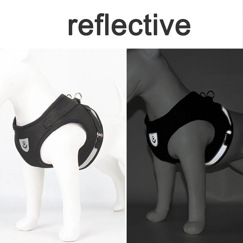 Adjustable Cat Harness & Leash Set – Breathable & Reflective