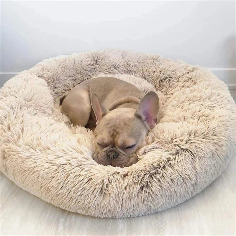 ποΈ Plush Donut Pet Bed πΆπ± Ultra-Soft & Washable Calming Bed for Cats and Dogs