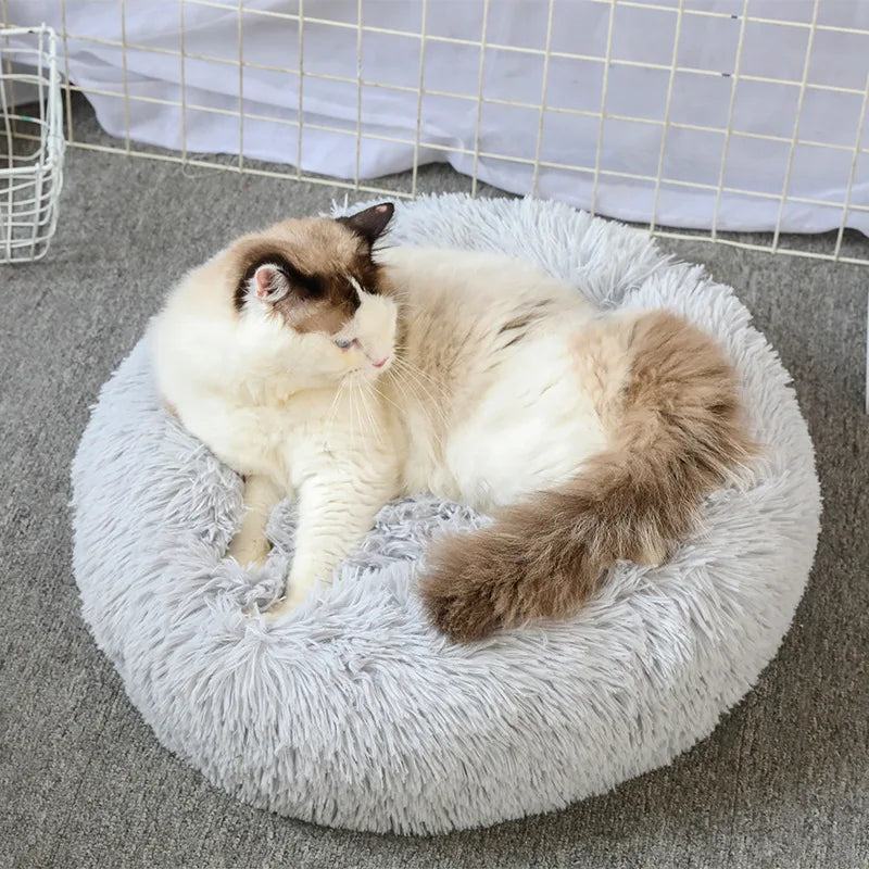 ποΈ Plush Donut Pet Bed πΆπ± Ultra-Soft & Washable Calming Bed for Cats and Dogs