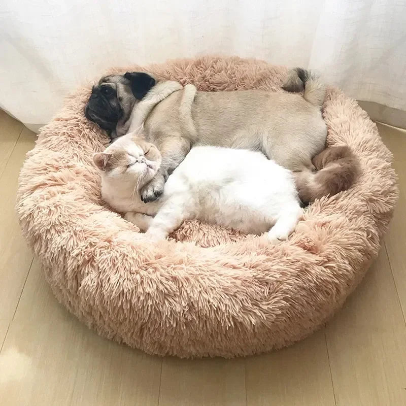 ποΈ Plush Donut Pet Bed πΆπ± Ultra-Soft & Washable Calming Bed for Cats and Dogs