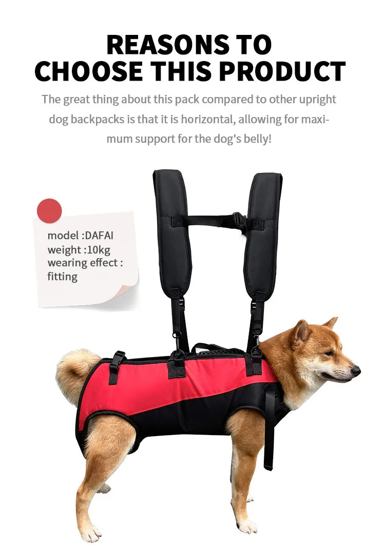 π Pet Travel Backpack π Outdoor Dog & Cat Carrier πΎ