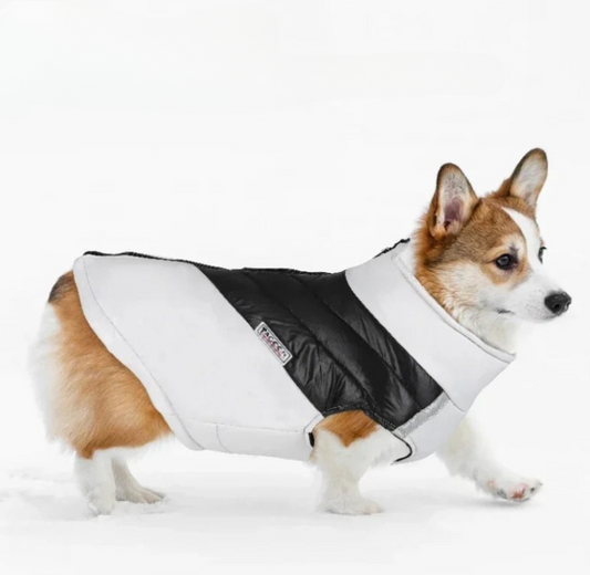 Warm Dog Jacket with Built-in Harness 🐾 Waterproof Winter Coat for Small & Large Dogs ❄️🐕