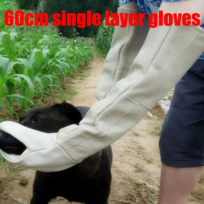 🧤 Pet Grooming Gloves – Bite & Scratch Resistant Leather Protection Gloves for Dogs & Cats 🐾