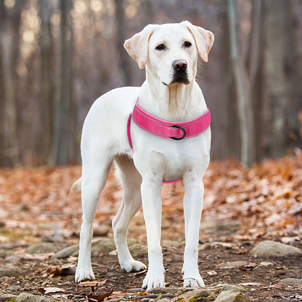 🐕 No-Pull Dog Harness 🦴 Reflective & Adjustable for Large Breeds