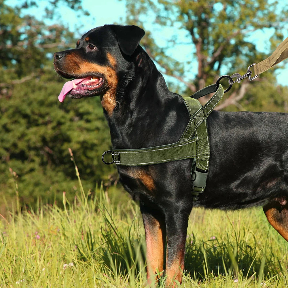 🐕 No-Pull Dog Harness 🦴 Reflective & Adjustable for Large Breeds