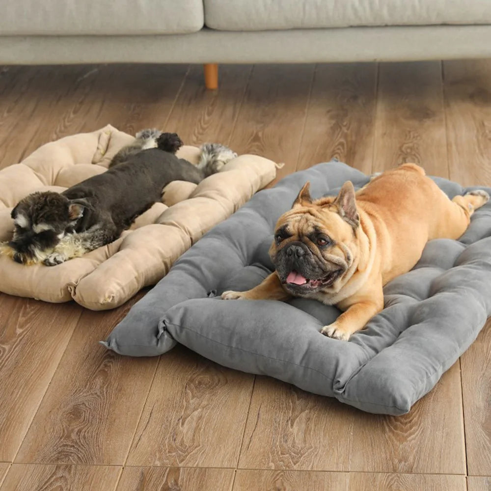 🛏️ 3-in-1 Cozy Pet Bed – Sofa, Nest & Mat for Dogs & Cats 🐾
