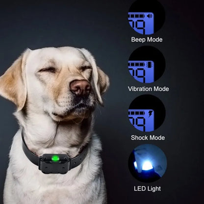 ⚡ Electric Dog Training Collar with LCD Display 🐾