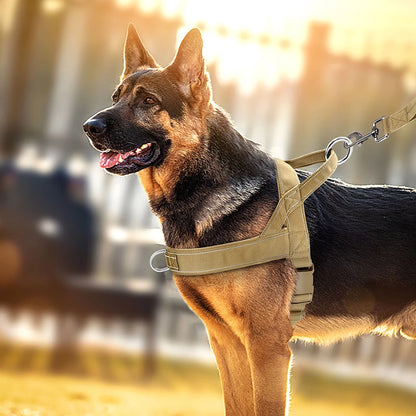 🐕 No-Pull Dog Harness 🦴 Reflective & Adjustable for Large Breeds