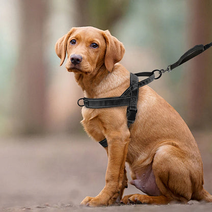 🐕 No-Pull Dog Harness 🦴 Reflective & Adjustable for Large Breeds