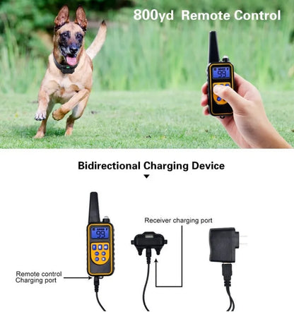 ⚡ Electric Dog Training Collar with LCD Display 🐾