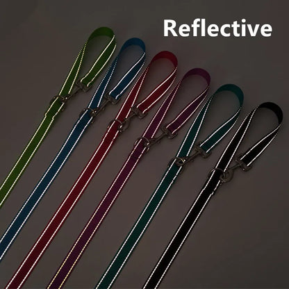 🏃‍♀️ Double Dog Leash 🐶 Reflective Hands-Free Running Lead
